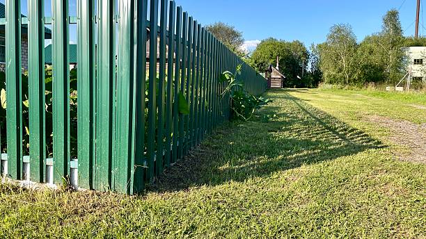 istock Green metal fence along grass field under blue sky 2231629068