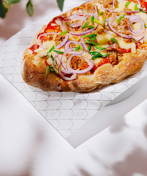 Cheesy flatbread with tomato and onions on a white background