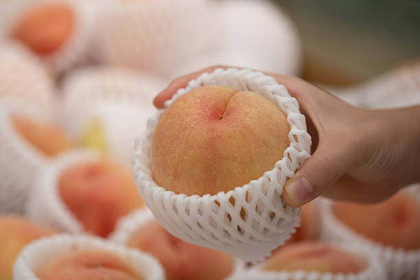 Hand holding a Japanese peach