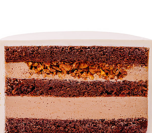 istock Layers of chocolate cake with rich frosting and crunchy texture 2231632811