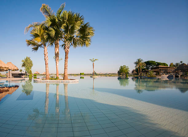 Luxury resort swimming pool reflecting a vibrant sunset sky, surrounded by lush palm trees and green gardens, creating a serene and inviting vacation atmosphere