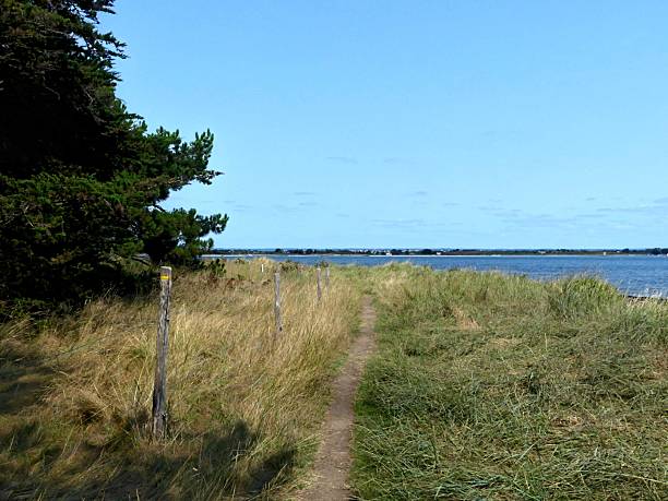 istock View of the sea 2231648079