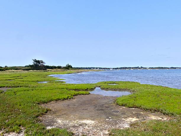 istock View of the sea 2231648804