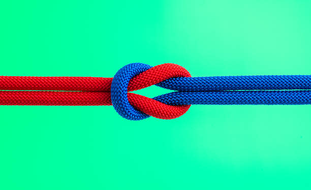 istock Red and blue ropes with reef knot isolated on green background 2231649435