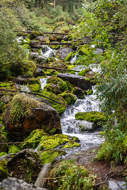 istock A hike around Kolsai lake 2231653006