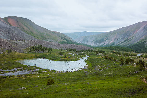 istock Dramatic view to small shallow lake and creek among sparse coniferous trees in alpine valley in rainy weather. Mountain stream and open forest among stony hills and rocky ranges under grey cloudy sky. 2231658405