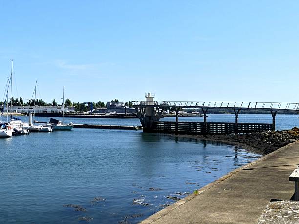 istock View of the port 2231660204