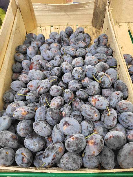 istock Fruits and vegetables market shelf 2231660324
