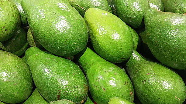 istock Fresh green Avocado on market table as fruit abstract background 2231661560