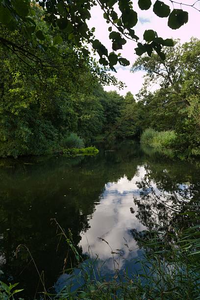 istock Tranquil river surrounded by lush greenery reflecting the sky during a peaceful afternoon 2231661783