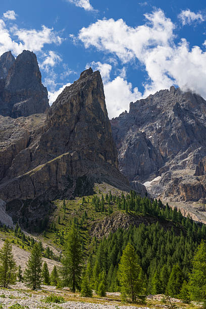 istock Hiking in Val Venegia - Italy 2231663740