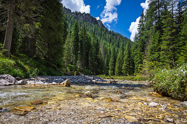 Hiking in Val Venegia - Italy
