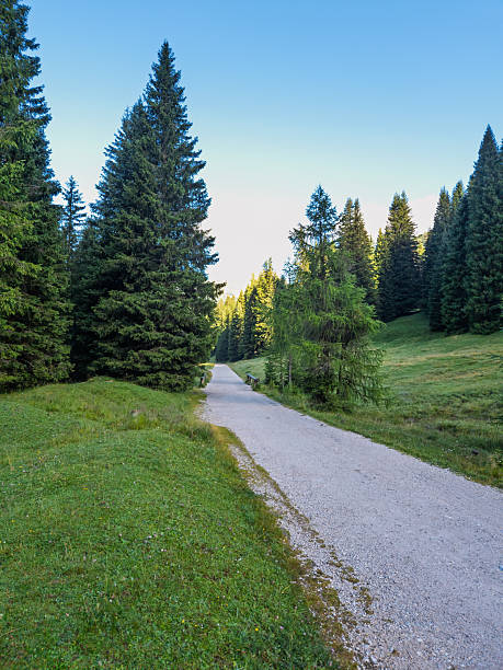 istock Hiking in Val Venegia - Italy 2231663783