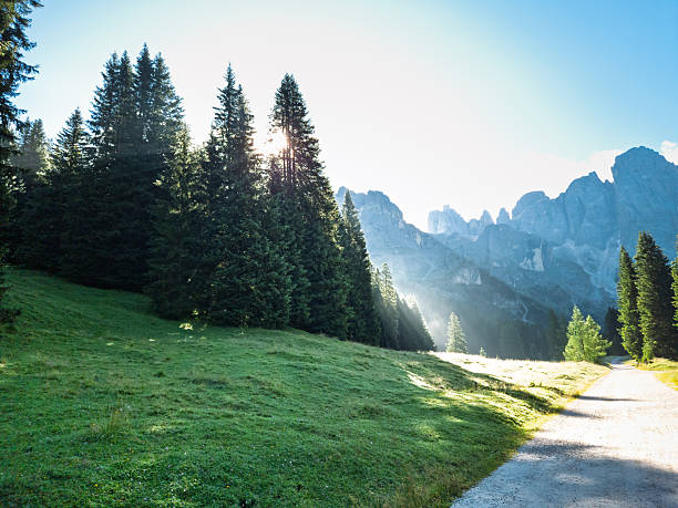 istock Hiking in Val Venegia - Italy 2231663784