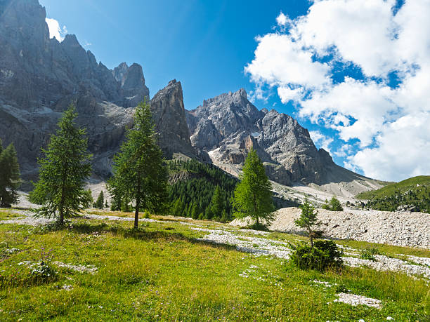istock Hiking in Val Venegia - Italy 2231663804
