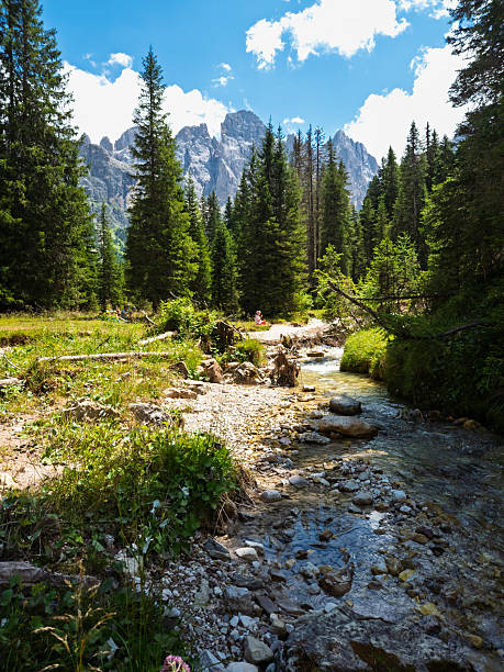 istock Hiking in Val Venegia - Italy 2231663848
