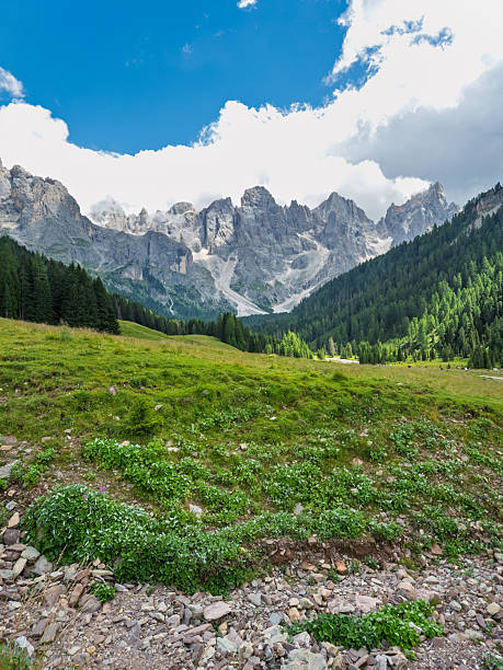 istock Hiking in Val Venegia - Italy 2231663850
