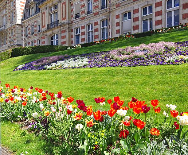 istock Colorful Tulip Flowerbed 2231664657