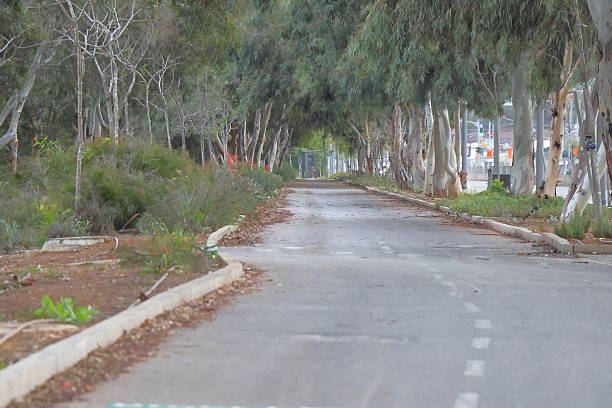 istock Rural road with trees on both sides and some bushes in the background 2231665447