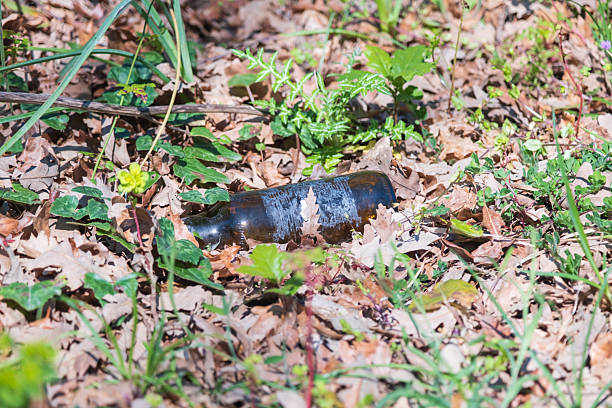 istock Forgotten Glass Bottle Scarring Pristine Nature 2231666583