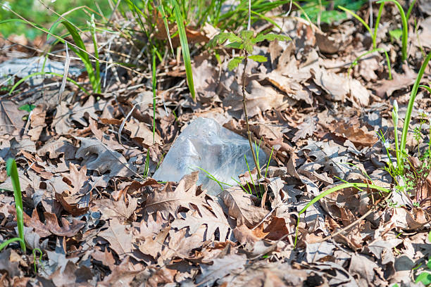 Fragile Plastic Amid Autumn Decay Highlights Pollution Crisis.