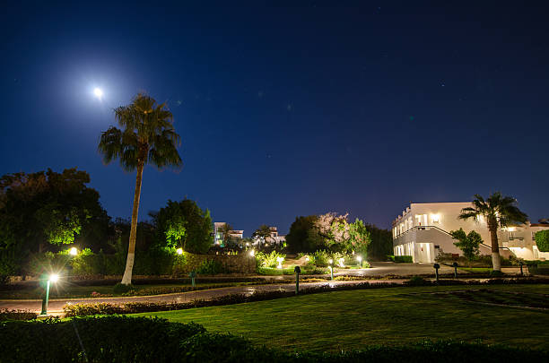 istock Nighttime resort view with illuminated pathway and moonlit sky 2231675974