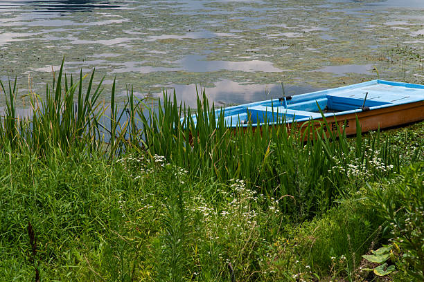 tranquil landscape