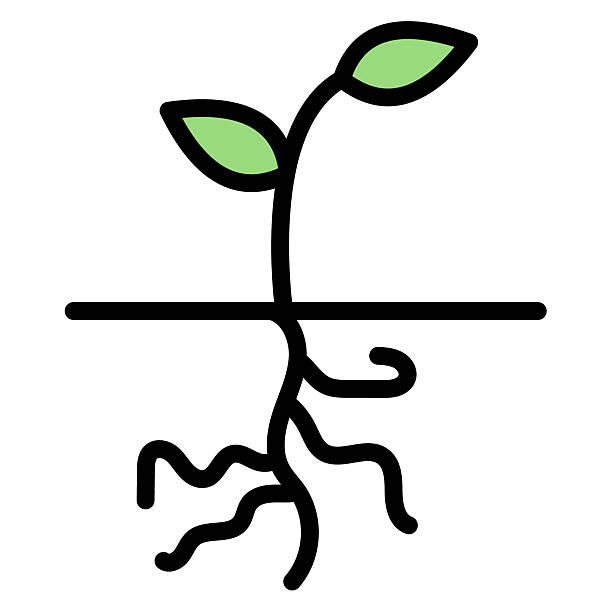 Grass Roots Vector Icon Grass Roots icon vector image. Can be used for Politics. grassroots stock illustrations