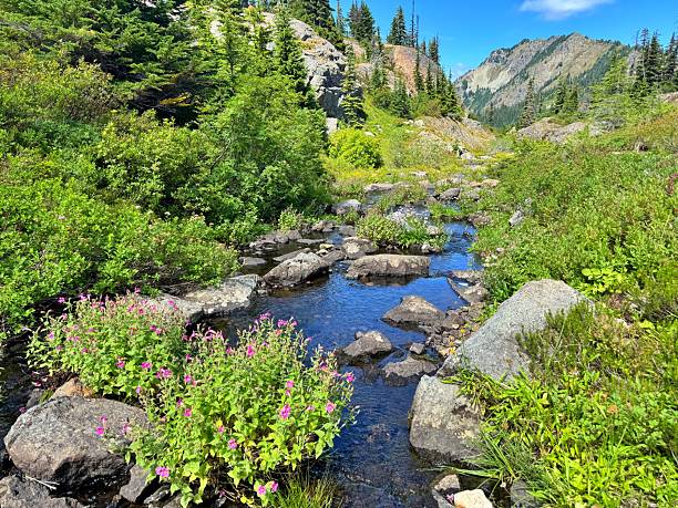 istock Rampart Ridge and Lakes 2231684824