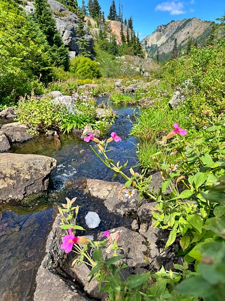 istock Rampart Ridge and Lakes 2231684855