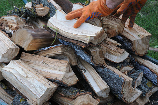 istock A man's hand in an orange glove is stacking chopped firewood. 2231687553