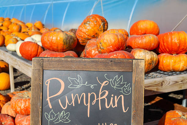 istock Colorful fall pumpkin on wood table with pumpkin sign 2231687718