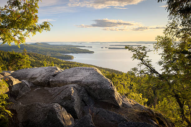 Summer landscape from Koli National Park
