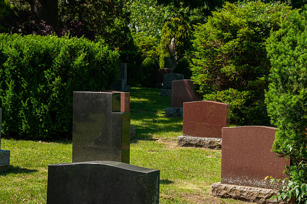 istock Peaceful Cemetery Scene Surrounded by Greenery on a Sunny Day 2231696100