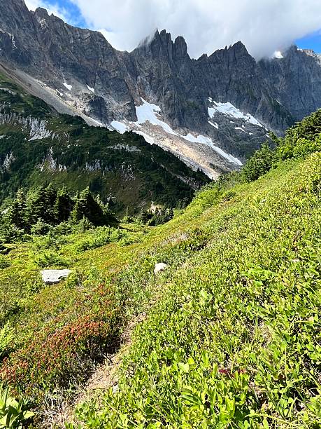 istock A beautiful meadow with the North Cascade mountains as a backdrop 2231698498