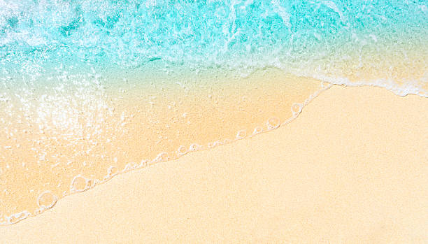 istock beautiful sunny sandy beach background, closeup, top view 2231702042