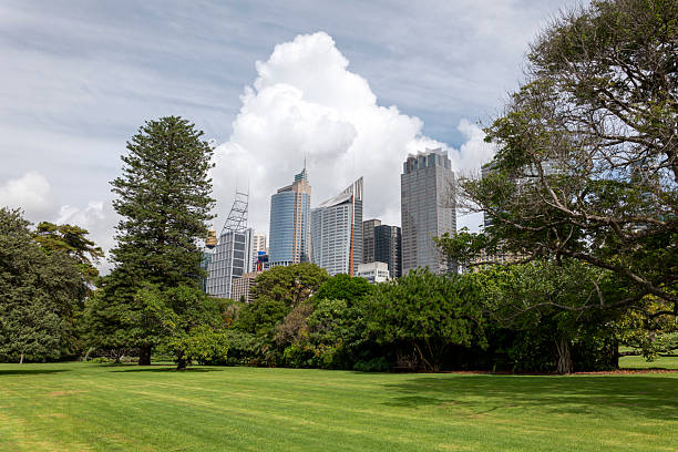 istock Central Business District in Sydney, Australia 2231710526