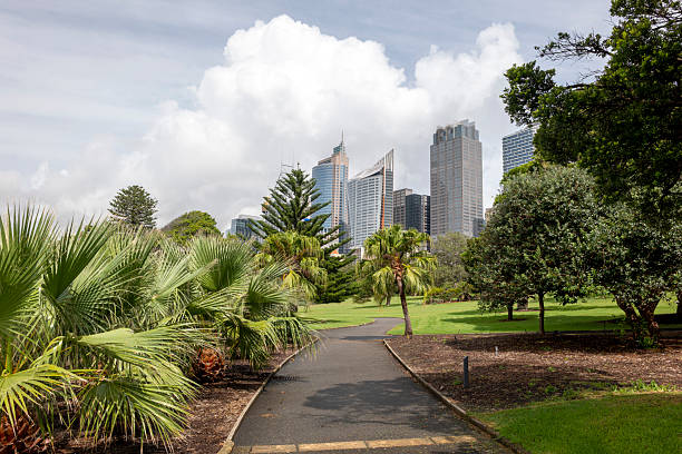 istock Central Business District in Sydney, Australia 2231710580