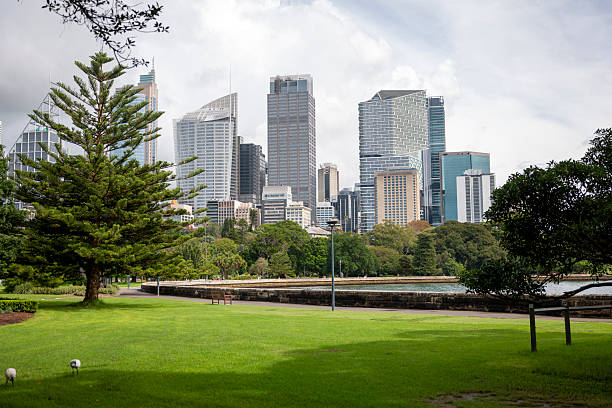 istock Central Business District in Sydney, Australia 2231710592