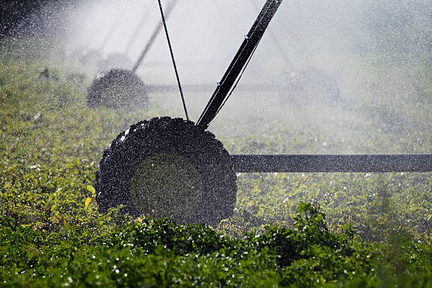 istock Wheel from agricultural sprinkler system 2231715272