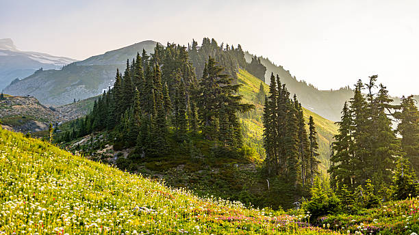 istock Dramatic alpine mountain peak surrounded by lush evergreen forest and a bright blue sky with clouds. A perfect landscape photo for travel, adventure, hiking, and nature-inspired projects. 2231715333