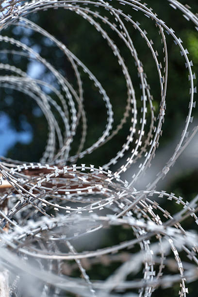istock Coils of sharp barbed wire create a formidable barrier against intrusion 2231718078