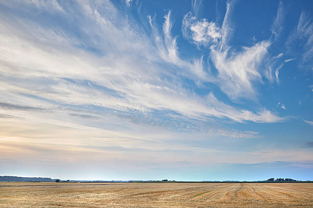 istock Serene agricultural field under a stunning sky with wispy clouds 2231725694