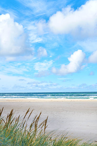 A serene sandy beach with coastal grass (Ammophila arenaria), intricate cloud formations, and a crystal-clear blue ocean horizon. Perfect illustration of tranquil coastal beauty.