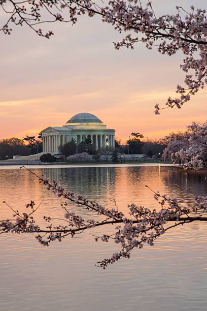 istock Jefferson Memorial during cherry blossom 2231730728