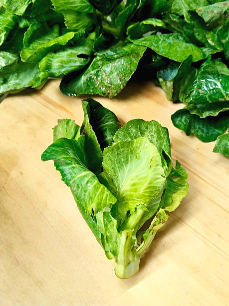istock Raw and Healthy Collard Greens, Ready to be Prepared 2231736463
