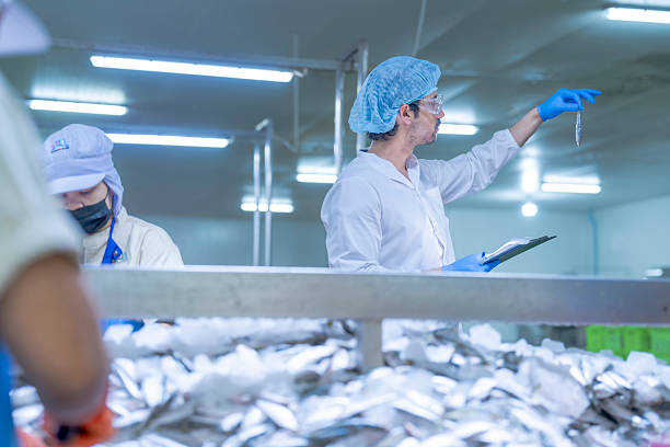 istock A food processing supervisor in protective gear inspecting packaging materials in a factory, holding a clipboard, emphasizing quality control, hygiene, and safety in food production operations 2231736877
