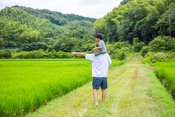 Father and son on shoulders, back view, summer vacation in the countryside