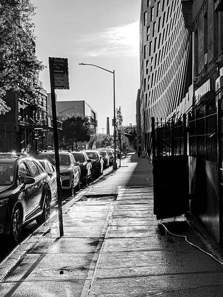 istock East Harlem Morning Light 2231750327