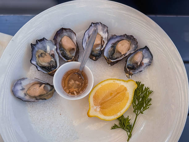 Plate of Fresh Oysters Served With Lemon, Sauce, and Garnish